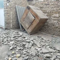 لونه سگ وکبوتر