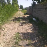 فروشی|سگ|خوی, |دیوار