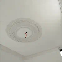 شاگرد کچ کار میخوام