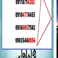 09106797697