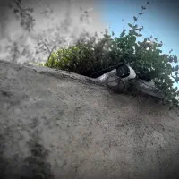 نصب دوربین مداربسته با بازدید رایگان + فروش اقساطی