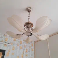 لوستر سالم  ورنگ نقره ای