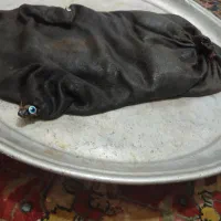 روغن حیوانی