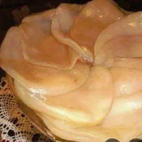 فروش قارچ کامبوجا