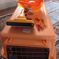 گربه