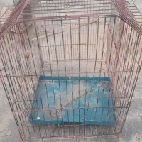 فروش فوری قفس بزرگ