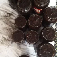 رب آلوچه جنگلی شمال