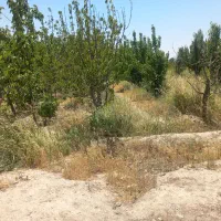 یه قطعه باغ ۱۷۵۰متری خوشنام