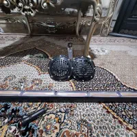 بوق ۱۰۱۱ و چراغ فدرالی