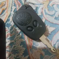 سویچ پژو پیداشده
