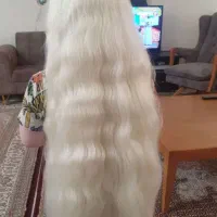 در تمام مناطق مختلف کشور موهاتو بفروش به خریدار مو