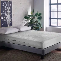 تشک هارد کلاس