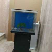 آکواریوم با میز و کلیه لوازم