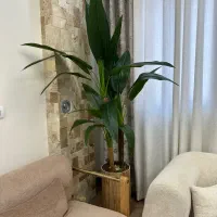 گل مصنوعی