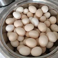تخم مرغ محلی ارگانیک