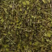 علف کباب یا مرزن گوشت