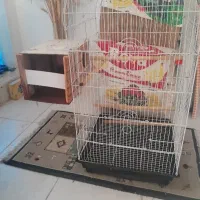 قفس بزرگ عروس هلندی و ملنگو