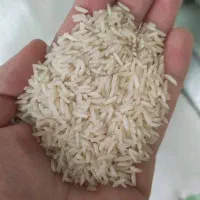 برنج طارم خوشپخت اعلا/ برنج اصیل