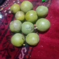 میوه|عمدهفروشی|شیروان (خراسان), |دیوار