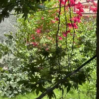 زمین-مسکونی-پستک
