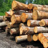 خریدار چوب
