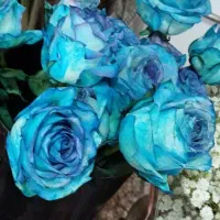 میلی کد منو بزن 90 تومن ببر