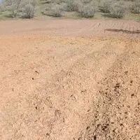 زمین کشاورزی  ده سرخ ۹۰۰۰هزار متر