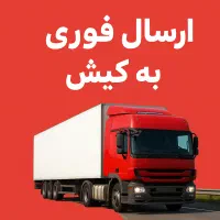 باربری مخصوص مدیرانی که تاخیر را نمی‌پذیرند
