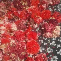 گل انارفارسی کیلویی ۵۰۰/۰۰۰  تومان