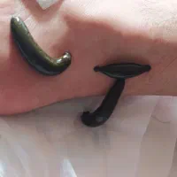 طب سنتی|پزشکی|محمدیه-قزوین, |دیوار