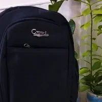 کیف|کیف، کفش، کمربند|نیشابور, سرآب کوشک|دیوار