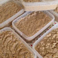 غذای تر و خانگی حیوانات (سگ و گربه)
