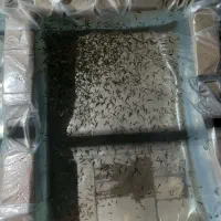 گوشی طرح سامسونگ Sاولترا26