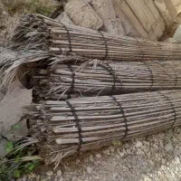 حصیر سایبا و کپر