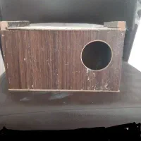 لونه پرنده