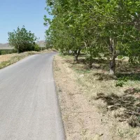 چندمورد باغ باغ