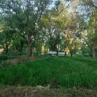 باغ