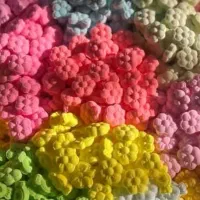 فروش قندونبات فانتزی وگیاهی