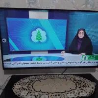 تلوزیون