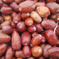 مقداری سنجد