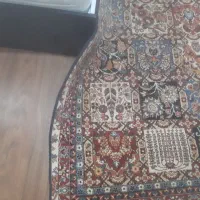 فرش نونو بسیار تمیز