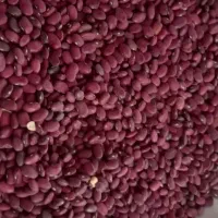 لوبیا قرمز بوجاری شده