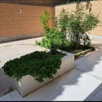 اجاره-آپارتمان-150-متری-تاپ-لوکیشن