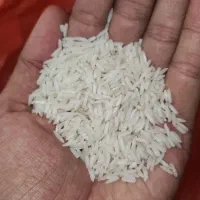 برنج هاشمی گیلان (کاشت خودم)