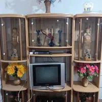 تلویزیون پاناسونیک