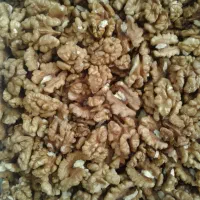 مغز گردو اعلاء