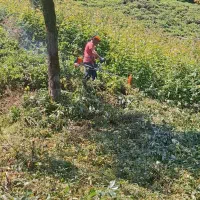 علفتراش