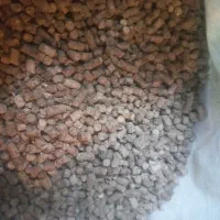 غذای ماهی کپور