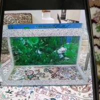 آکواریوم۴۰در۶۰ سالم وجای دون وآب دونی