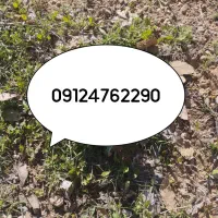 فروش سیم کارت کد 4